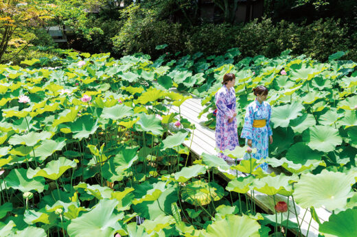 画像：夏の庭園